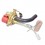 Multivalve tor. int. 30°