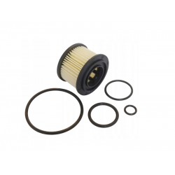 KIT REVIZIE FILTRU GPL ELECTROVALVA BRC (model vechi - compatibil) KIT REVIZIE FILTRU GPL ELECTROVALVA BRC (model vechi - compatibil)