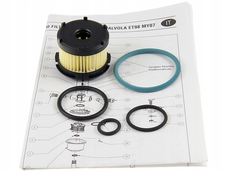 KIT REVIZIE FILTRU GPL ELECTROVALVA BRC (model nou - original) 169192173R