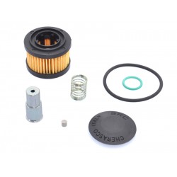 KIT EXTINS REVIZIE ELECTROVALVA BRC (model vechi - original) KIT EXTINS REVIZIE ELECTROVALVA BRC (model vechi - original)