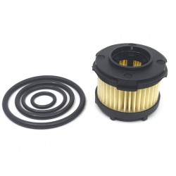 KIT REVIZIE FILTRU GPL ELECTROVALVA BRC (model nou - compatibil) KIT REVIZIE FILTRU GPL ELECTROVALVA BRC (model nou - compatibil)