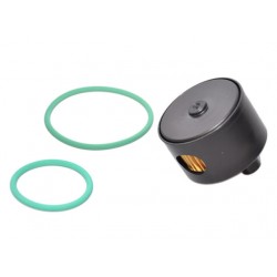 KIT REVIZIE FILTRU GPL LANDI RENZO - PT. REDUCTOR LI10 (Original - cu carcasă) DACIA 0,9/1,2/1,6 KIT REVIZIE FILTRU GPL LANDI RENZO - PT. REDUCTOR LI10 (Original - cu carcasă) DACIA 0,9/1,2/1,6