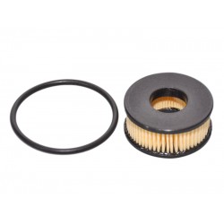 KIT REVIZIE FILTRU GPL ELECTROVALVA LANDI RENZO KIT REVIZIE FILTRU GPL ELECTROVALVA LANDI RENZO