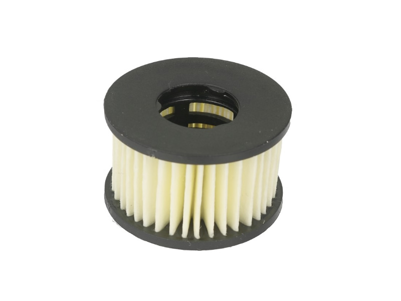 FILTRU GPL LANDI RENZO LI10 DACIA 169198413R / 169196566R FILTRU GPL LANDI RENZO LI10 DACIA 169198413R / 169196566R