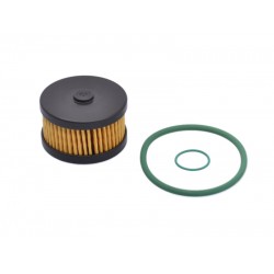 KIT REVIZIE FILTRU GPL LANDI RENZO - PT. REDUCTOR LI10 (Original - fără carcasă) DACIA 0,9/1/1,2/1,6