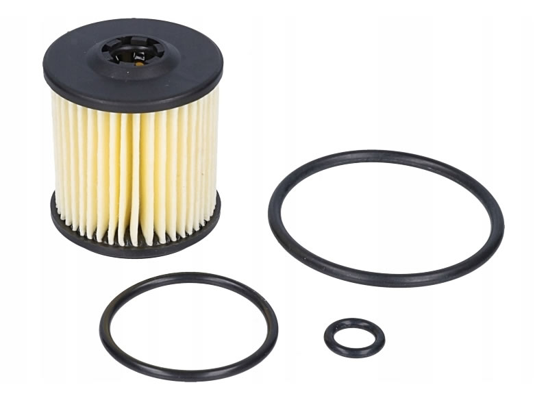 KIT REVIZIE FILTRU GPL TARTARINI TIP E08G KIT REVIZIE FILTRU GPL TARTARINI TIP E08G