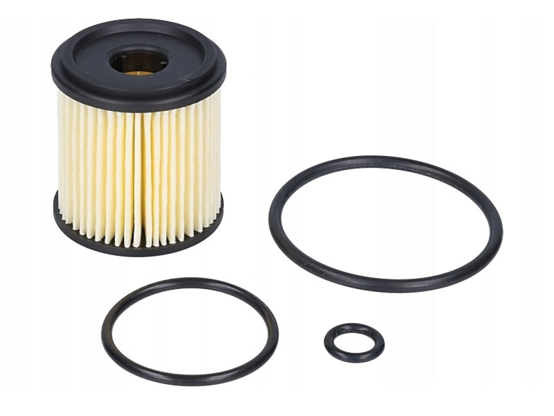 KIT REVIZIE FILTRU GPL TARTARINI TIP E08G KIT REVIZIE FILTRU GPL TARTARINI TIP E08G