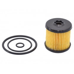 KIT REVIZIE FILTRU GPL TARTARINI TIP E08G (Original) KIT REVIZIE FILTRU GPL TARTARINI TIP E08G (Original)