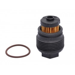 KIT REVIZIE FILTRU GPL ELECTROVALVA VALTEK TIP 08 (Original)