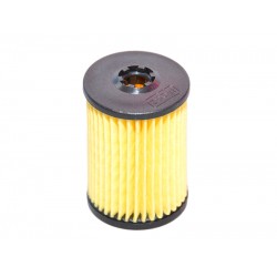 FILTRU GPL VALTEK, DREAM OMVL, ELPIGAZ FILTRU GPL VALTEK, DREAM OMVL, ELPIGAZ