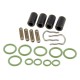 KIT REVIZIE RAMPA INJECTOARE GPL AC W02 4 CILINDRI KIT REVIZIE RAMPA INJECTOARE GPL AC W02 4 CILINDRI
