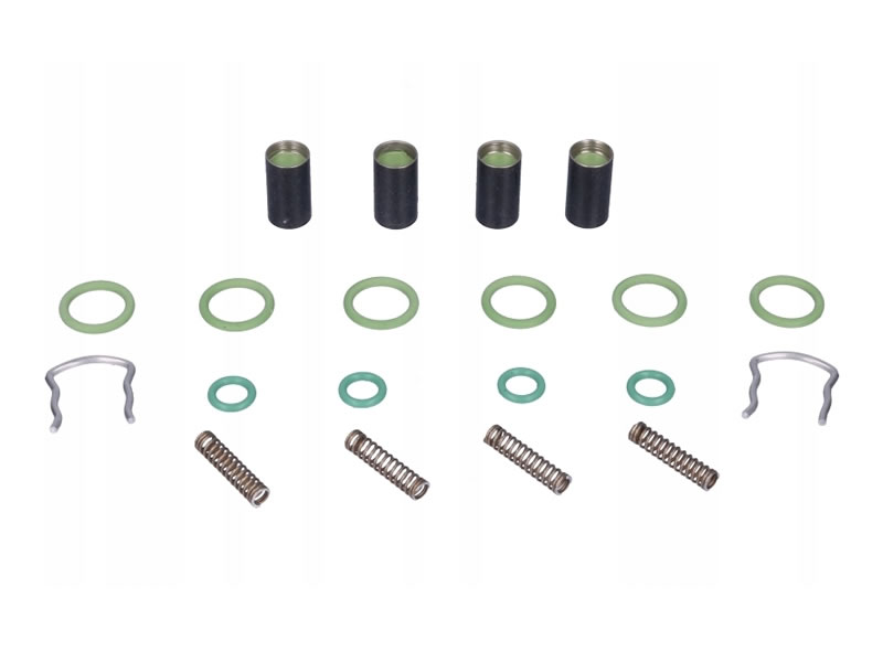 KIT REVIZIE RAMPA INJECTOARE GPL AC W02 4 CILINDRI KIT REVIZIE RAMPA INJECTOARE GPL AC W02 4 CILINDRI