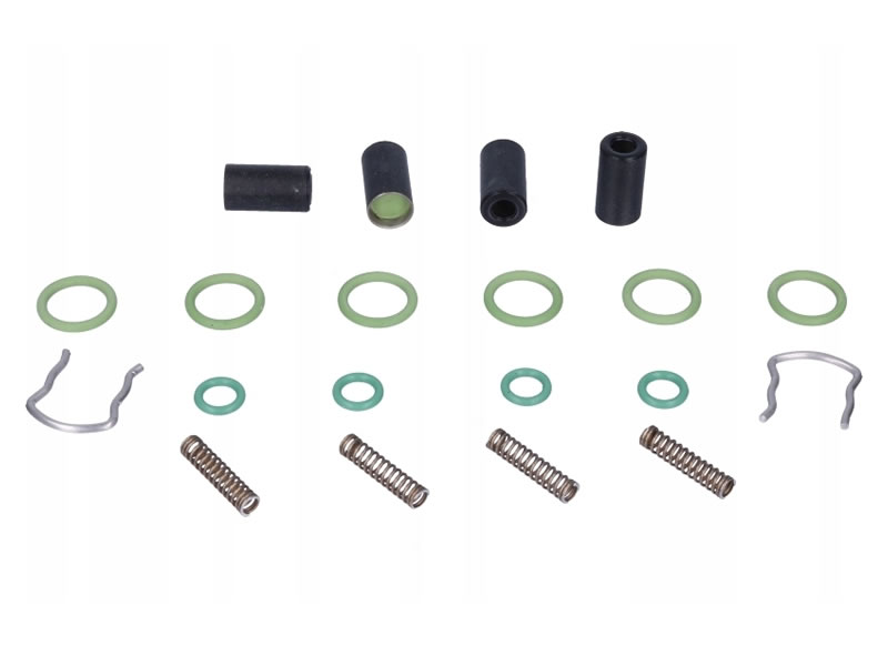 KIT REVIZIE RAMPA INJECTOARE GPL AC W02 4 CILINDRI KIT REVIZIE RAMPA INJECTOARE GPL AC W02 4 CILINDRI
