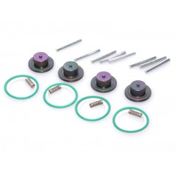 KIT REVIZIE INJECTOARE LANDI RENZO GIRS12