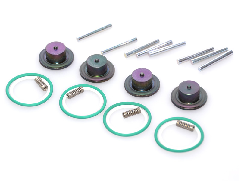 KIT REVIZIE INJECTOARE LANDI RENZO GIRS12