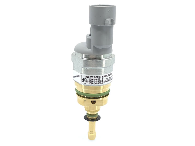 Injector Vercesi Gas 6.0 echivalent BRC INO3 MY09R 09SQ99020021 eticheta albastră