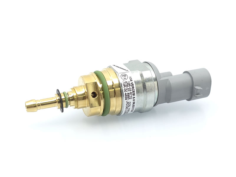 Injector Vercesi Gas 6.0 echivalent BRC INO3 MY09R 09SQ99020021 eticheta albastră