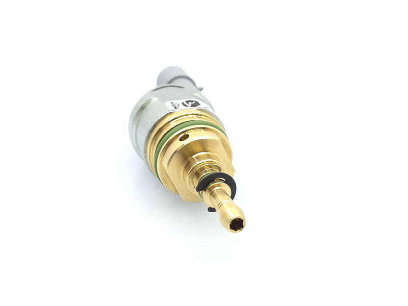 Injector Vercesi Gas 6.0 echivalent BRC INO3 MY09R 09SQ99020021 eticheta albastră