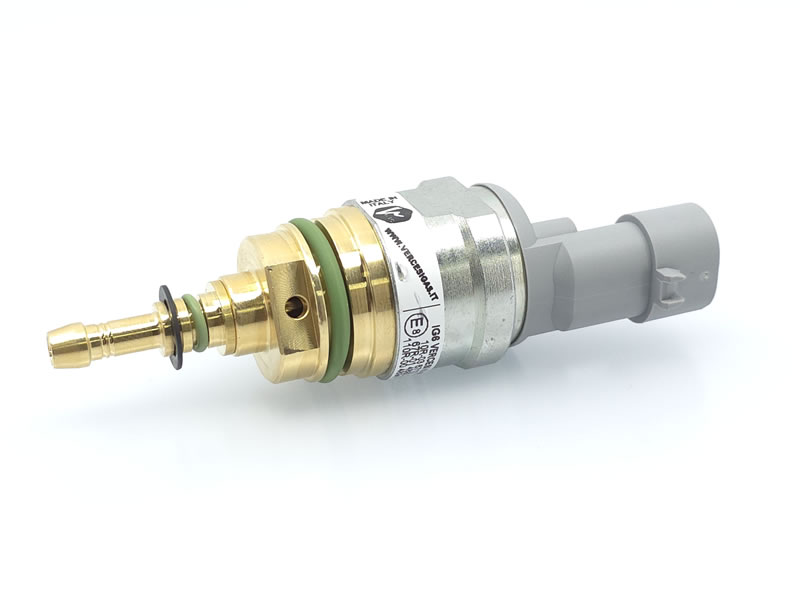 Injector Vercesi Gas 6.0 echivalent BRC INO3 MY09R 09SQ99020021 eticheta albastră