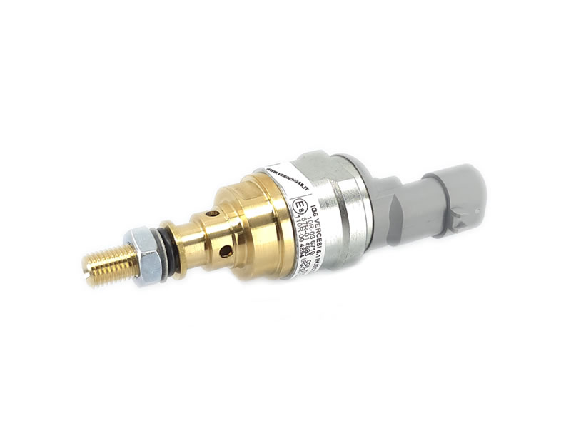 Injector Vercesi Gas 6.1 echivalent BRC INO3 cu siguranță 09SQ99020001G