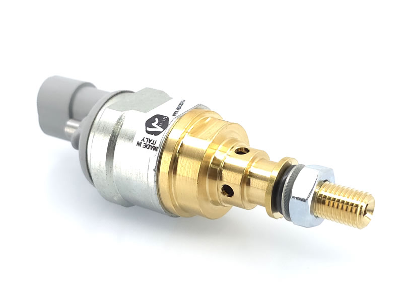 Injector Vercesi Gas 6.1 echivalent BRC INO3 cu siguranță 09SQ99020001G