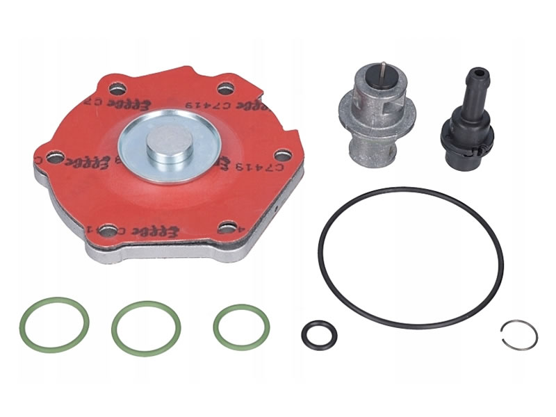 KIT REVIZIE MEMBRANE VAPORIZATOR LOVATO RGJ 3DD / 3.2L DD