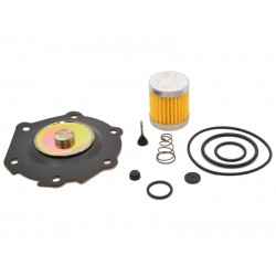 KIT REVIZIE MEMBRANE VAPORIZATOR LOVATO RGJ (COMPATIBIL)