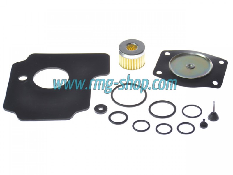 KIT REVIZIE MEMBRANE VAPORIZATOR LOVATO RGJ HP (COMPATIBIL) KIT REVIZIE MEMBRANE VAPORIZATOR LOVATO RGJ HP (COMPATIBIL)