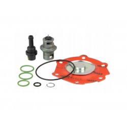 KIT REVIZIE MEMBRANE VAPORIZATOR LOVATO RGJ-3.2 TIP B KIT REVIZIE MEMBRANE VAPORIZATOR LOVATO RGJ-3.2 TIP B