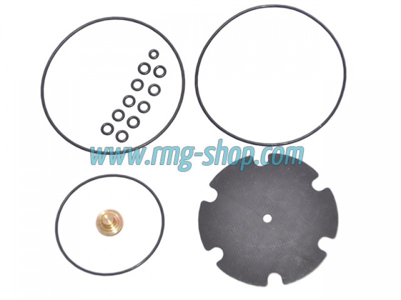KIT REVIZIE MEMBRANE VAPORIZATOR MARINI RINGAS (ORIGINAL) KIT REVIZIE MEMBRANE VAPORIZATOR MARINI RINGAS (ORIGINAL)