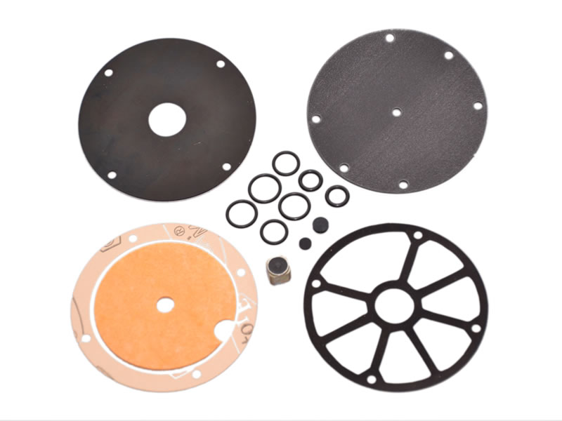 KIT REVIZIE MEMBRANE VAPORIZATOR ROMANO RRISN04 (COMPATIBIL)