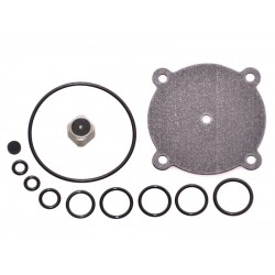 KIT REVIZIE MEMBRANE VAPORIZATOR ROMANO RRISN13 (COMPATIBIL)