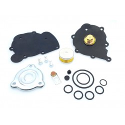 KIT REVIZIE MEMBRANE VAPORIZATOR TOMASETTO AT09 NORDIC (COMPATIBIL)