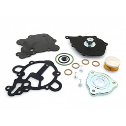 KIT EXTINS REVIZIE MEMBRANE VAPORIZATOR TOMASETTO AT09 ALASKA (ORIGINAL) KIT EXTINS REVIZIE MEMBRANE VAPORIZATOR TOMASETTO AT09 ALASKA (ORIGINAL)