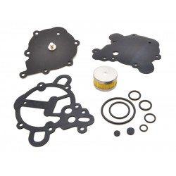 KIT REVIZIE MEMBRANE VAPORIZATOR TOMASETTO AT09 ALASKA (COMPATIBIL)