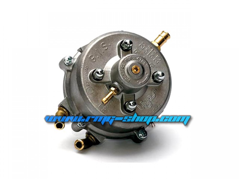 KIT REVIZIE MEMBRANE VAPORIZATOR BIGAS RI21