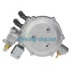 REDUCTOR GPL LANDI RENZO LI10 - TURBO REDUCTOR GPL LANDI RENZO LI10 - TURBO