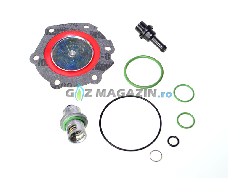 KIT REVIZIE MEMBRANE VAPORIZATOR LOVATO RGJ-3.2 TIP B KIT REVIZIE MEMBRANE VAPORIZATOR LOVATO RGJ-3.2 TIP B