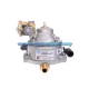 VAPORIZATOR OMVL DREAM XXI-G VAPORIZATOR OMVL DREAM XXI-G