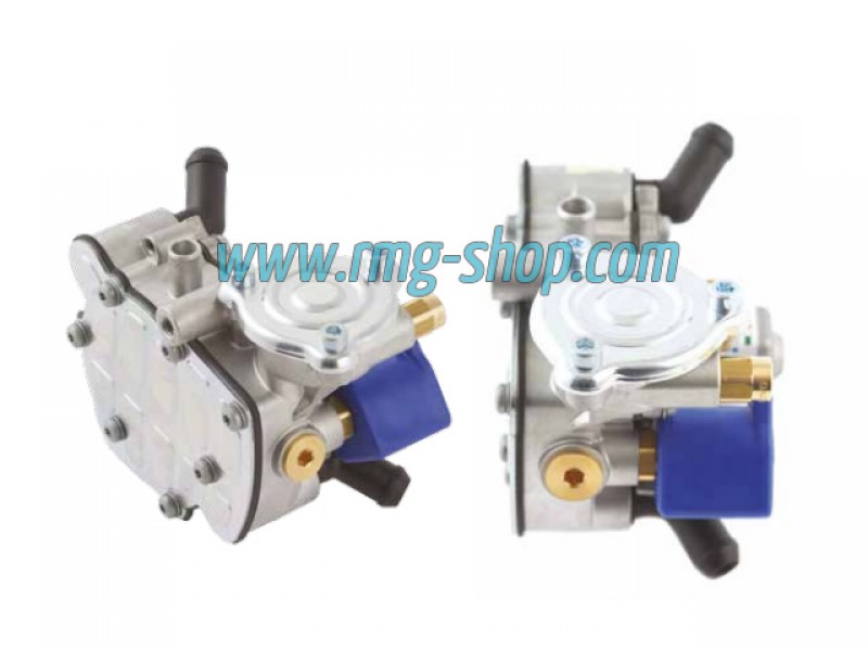 KIT REPARATIE MEMBRANE REDUCTOR TOMASETTO AT09 NORDIC (COMPATIBIL) KIT REPARATIE MEMBRANE REDUCTOR TOMASETTO AT09 NORDIC (COMPATIBIL)