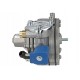 REDUCTOR GPL TOMASETTO AT13 XP - 374 CP REDUCTOR GPL TOMASETTO AT13 XP - 374 CP